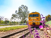 图集丨建水观光小火车