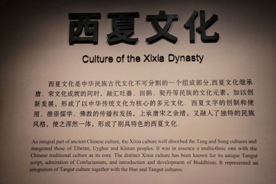 图集 | 西夏王陵：贺兰山下封存的神秘瑰宝