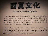 图集 | 西夏王陵：贺兰山下封存的神秘瑰宝