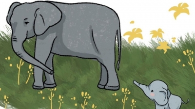 一场说走就走的象家族旅行