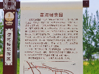 图集 | 黄河楼：黄河金岸第一楼