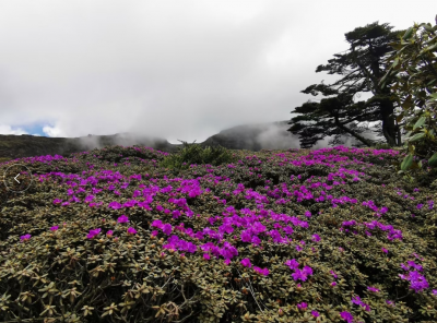 我只“粽”意你——轿子山@中高考生：凭准考证游览住大酒店不要太划算