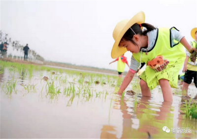 跟随云上野趣夏令营 探秘高考卷中的阿者科