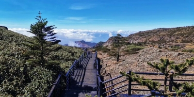 我只“粽”意你——轿子山@中高考生：凭准考证游览住大酒店不要太划算