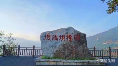 云南省文旅厅到红河县调研指导旅游服务中心建设工作