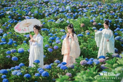 夏至 | 跟着时节游大理 漫步盛夏清凉时光里