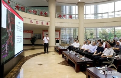 雨林版纳的世界旅游名城之路：康养旅居+跨境旅游