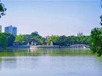 图集丨建水文庙