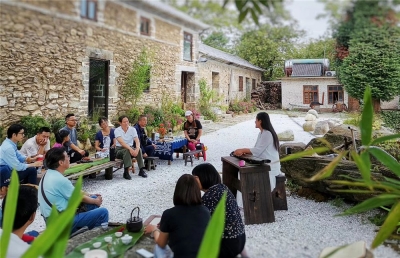 一捧书香 一盏茶香 在大理元阳书院觅一段诗意时光