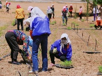 图集 | 走进中国醉美沙漠花园——金沙岛
