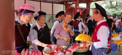 鹤庆县文化馆组织开展“文化和自然遗产日”宣传展示活动