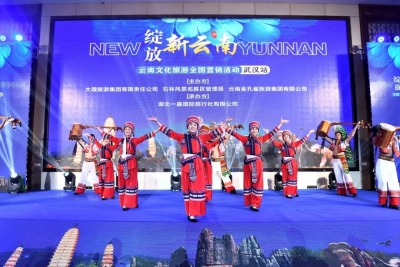 “绽放•新云南”营销武汉站启动 大理、石林、西双版纳旅游推介会成功举办
