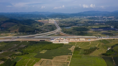 中老铁路野象谷车站：一座“象”往的车站惊艳亮相