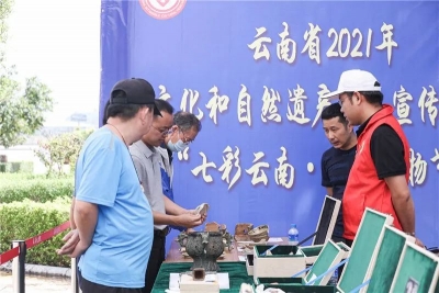 端午假日遇上“文化和自然遗产日” 云南各地活动精彩纷呈