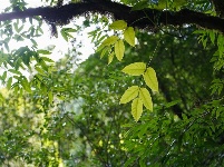 图集丨新平石门峡 哀牢山深处的秘境