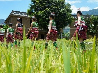 图集丨在新平花腰田间 感受不一样的民族风情