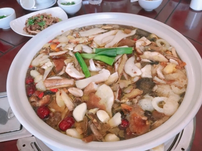美食 | 雨季限定：这个端午一起来云南吃菌子吧！