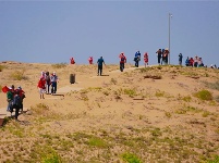 图集 | 走进中国醉美沙漠花园——金沙岛