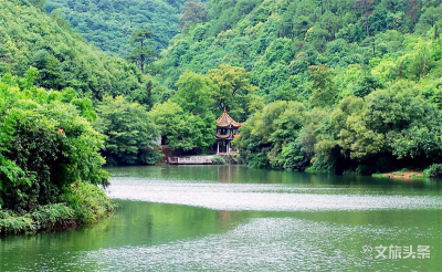 野生食用菌陆续上市 玉溪易门迎来“一日游”高峰