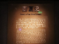 图集 | 西夏王陵：贺兰山下封存的神秘瑰宝