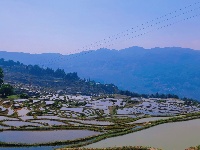 图集丨元阳蓝色梯田——爱春