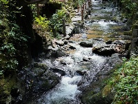 图集丨新平石门峡 哀牢山深处的秘境