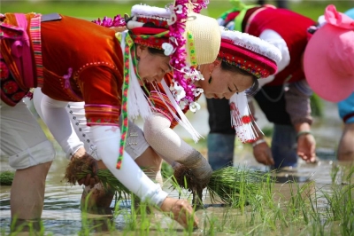 芒种丨跟着时节游大理 邂逅一首仲夏的诗