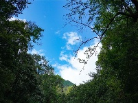 图集丨新平石门峡 哀牢山深处的秘境