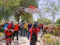 图集 | 走进中国醉美沙漠花园——金沙岛