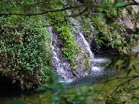 图集丨新平石门峡 哀牢山深处的秘境
