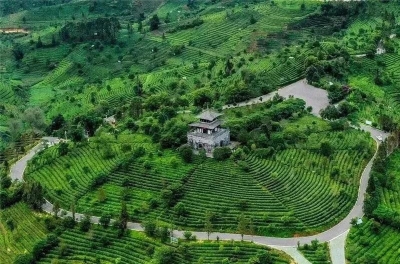 流霞清风，云卷云舒......仲夏的普洱茶博览苑美到了极致！