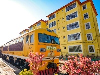 图集丨建水观光小火车