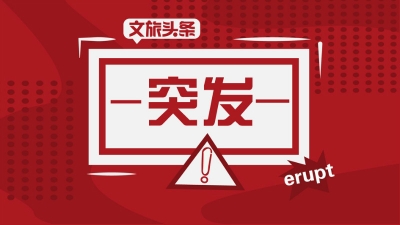 正式测定：云南楚雄州双柏县发生4.6级地震