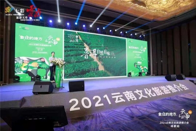 “象”往的地方！“天赐普洱”走进“蓉城成都”与“山城重庆”