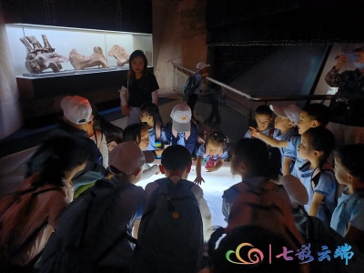 聚焦云南旅游革命“三部曲”丨楚雄州禄丰市：提质增效擦亮旅游“金字招牌”