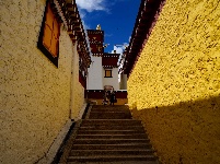 图集丨香格里拉松赞林寺：夏日风光美如画