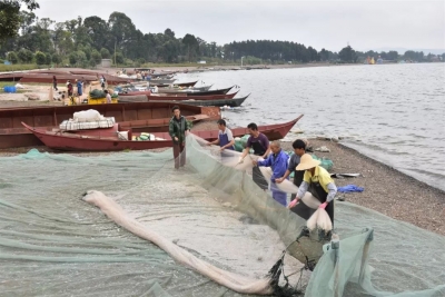 仙湖银鱼分外鲜，夏季“享湖”正当时