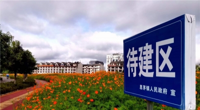 普洱这片“城中花海”，正是格桑花烂漫时......