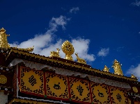 图集丨香格里拉松赞林寺：夏日风光美如画