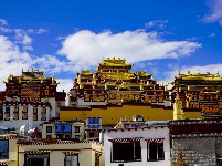 图集丨香格里拉松赞林寺：夏日风光美如画