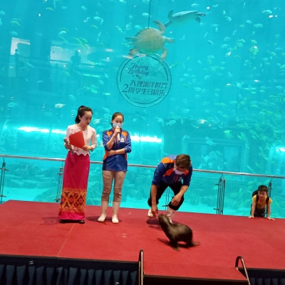 10余种萌宠齐上阵！大理海洋世界萌宠欢乐之旅等你来