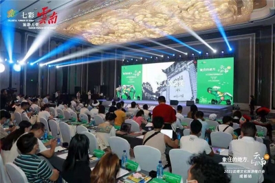 “象”往的地方！“天赐普洱”走进“蓉城成都”与“山城重庆”