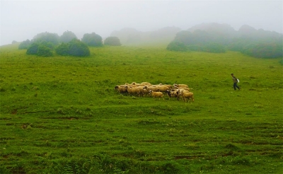 《大理锦绣时光》影展：走进大理的前世今生，聆听一方热土崛起的历史