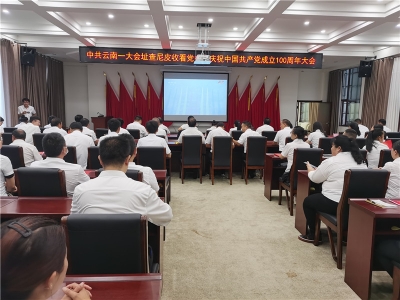 红河州文旅系统观看庆祝中国共产党成立100周年大会