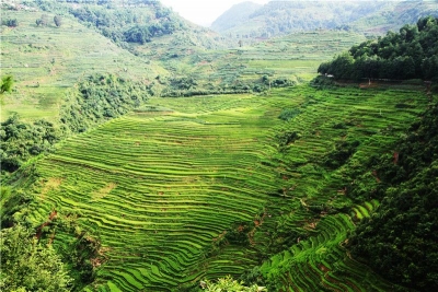 普洱墨江：让乡村旅游留住时光，也记得住乡愁！