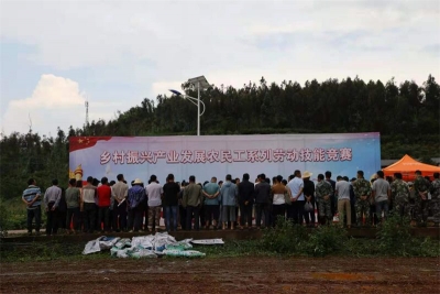 劳动竞赛舞台搬到田间地角，为乡村振兴，打造世界一流“三张牌” 注入强劲动力