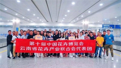 云花持续绽放第十届花博会，展品获奖257个，接待访客40万人次！