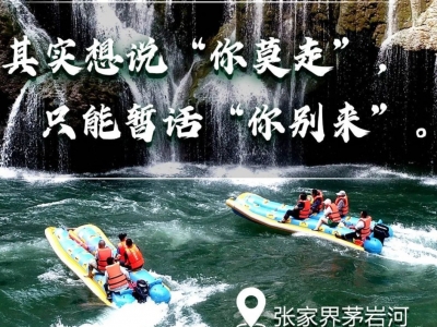 被张家界闭园海报破防了