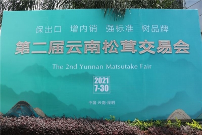 保出口、增内销、强标准、树品牌 第二届云南松茸交易会今日启幕