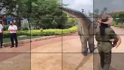 聚焦云南旅游革命“三部曲”丨楚雄州禄丰市：提质增效擦亮旅游“金字招牌”